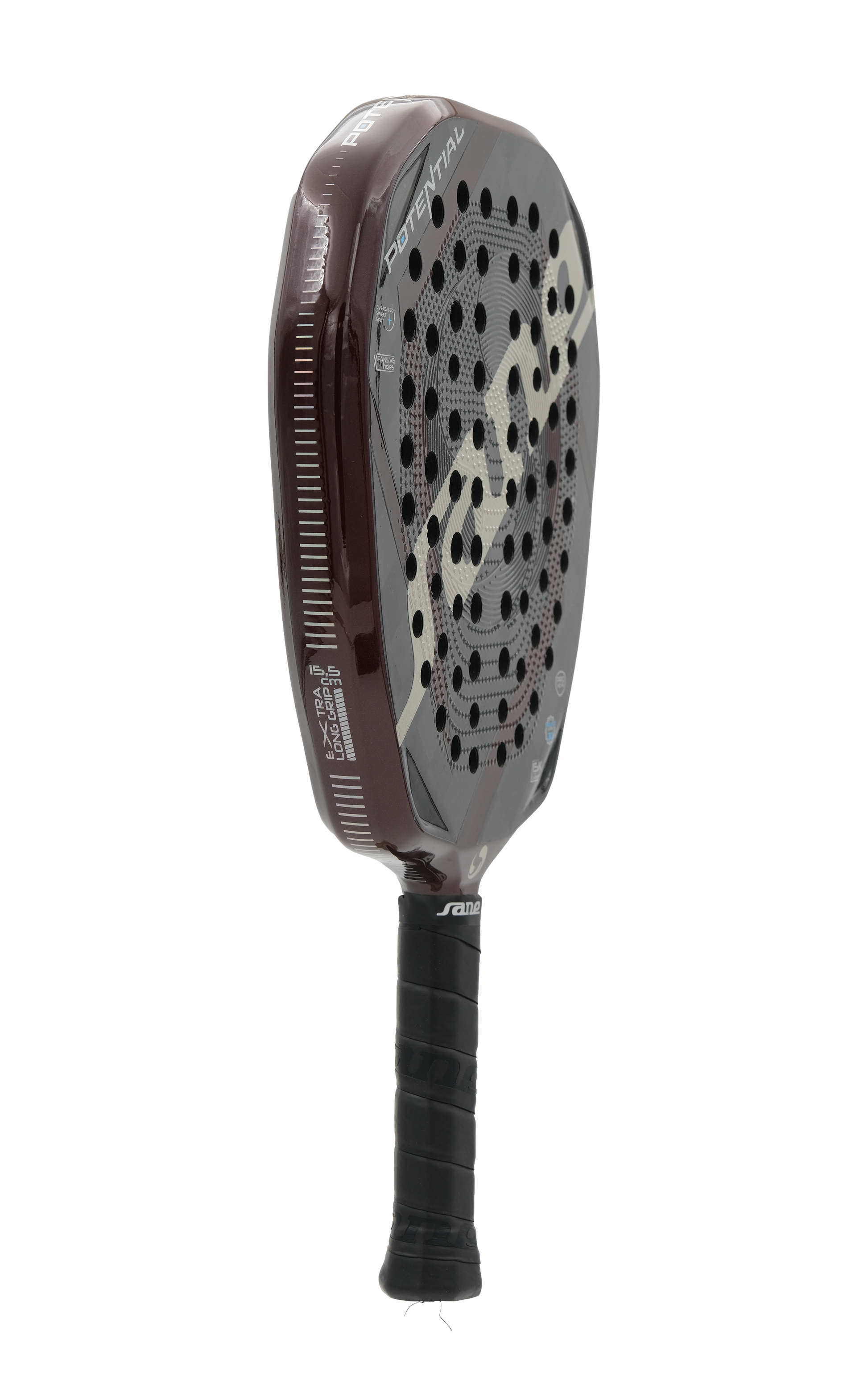 POTENTIAL - Professional Edition