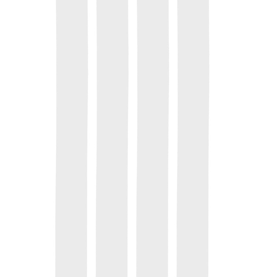 SANE TRANSPARENT PROTECTOR