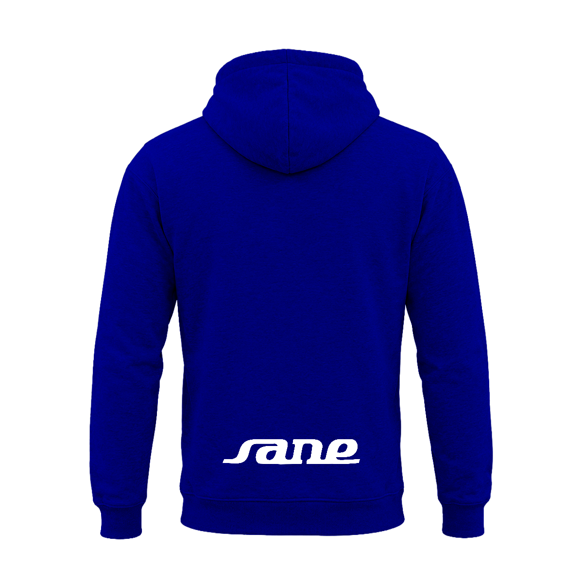 Hoodie SANE Logo Azul